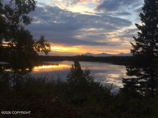 L4 Skeetna Lake Property Photo 16
