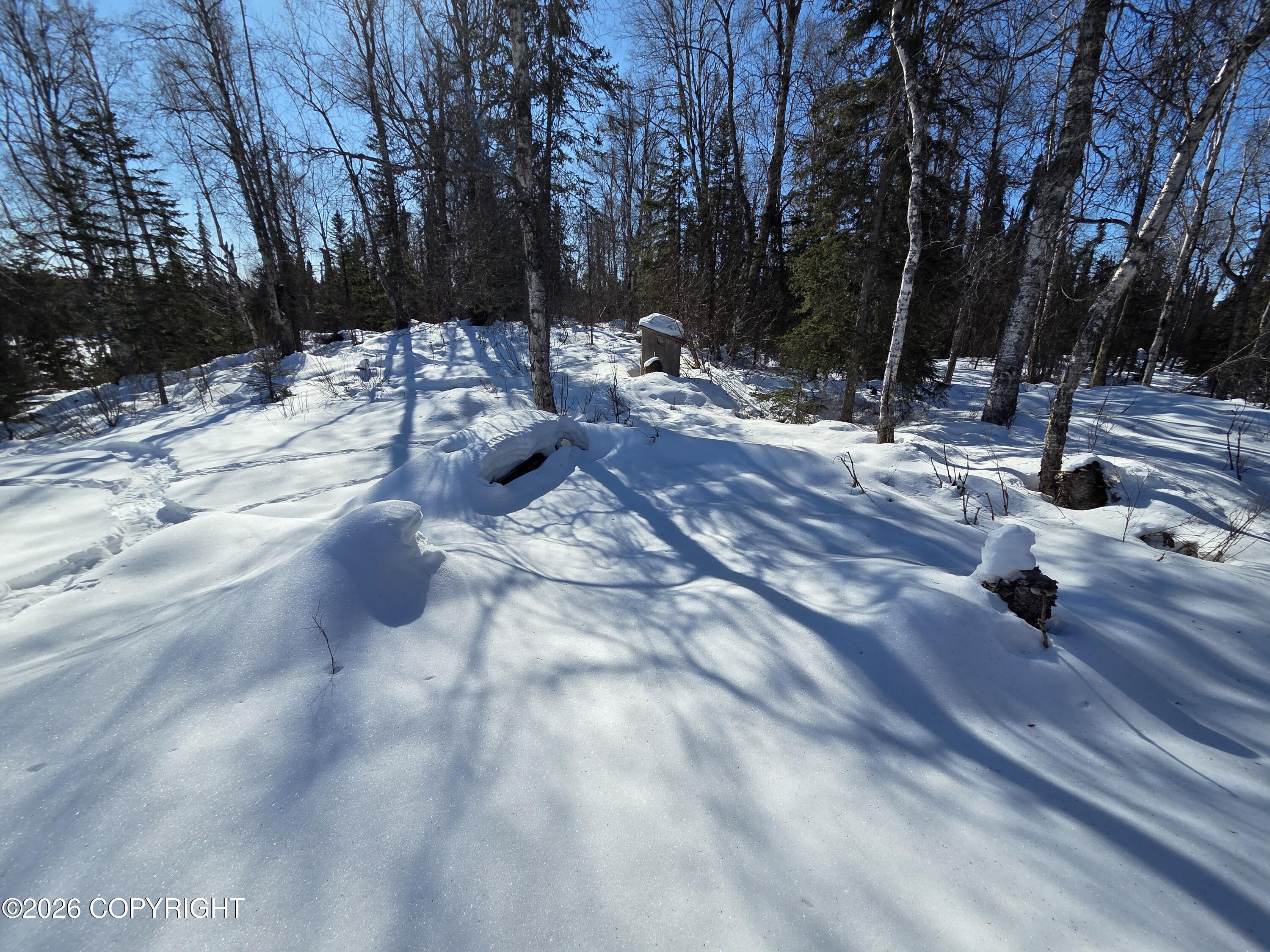L4 Skeetna Lake Property Photo 19