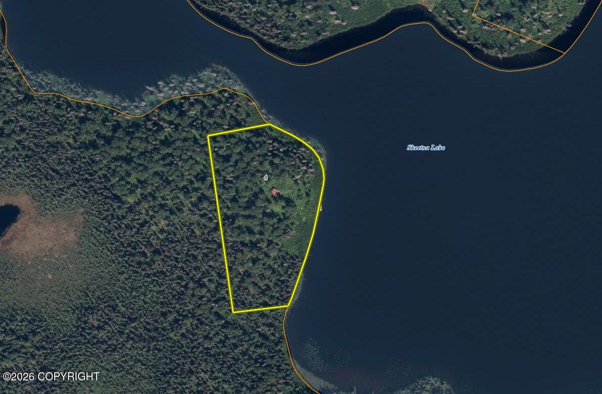 L4 Skeetna Lake Property Photo 29
