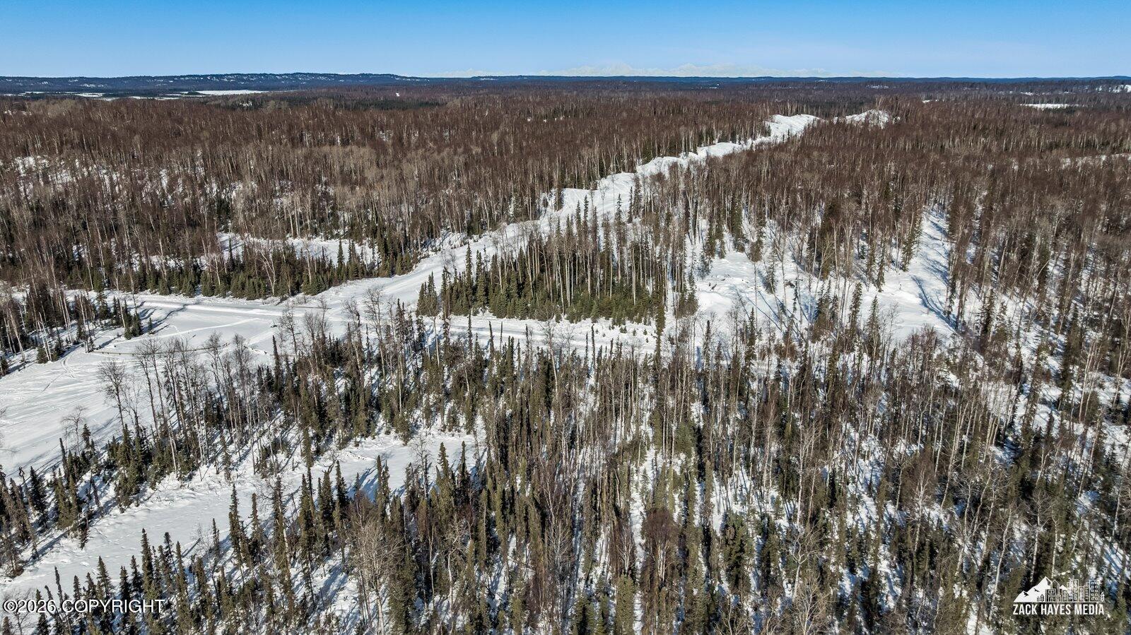 25275 W Susitna Parkway Property Photo 4