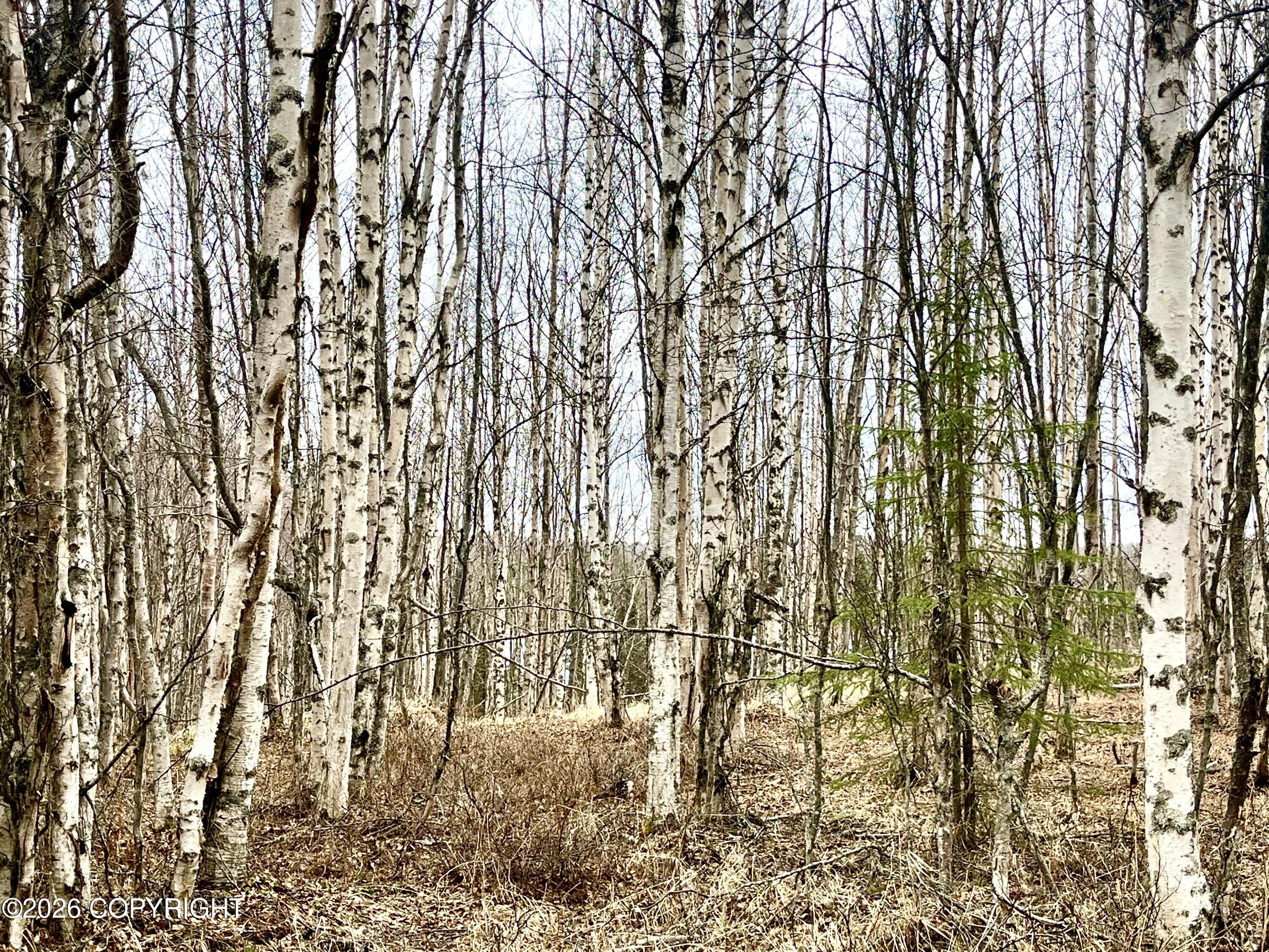000 Shay Lynn Circle Property Photo 4