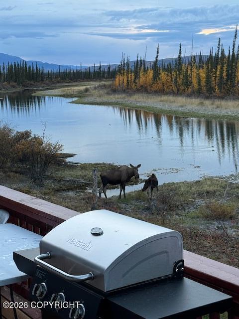 1327.6a Alaska Highway Property Photo 35
