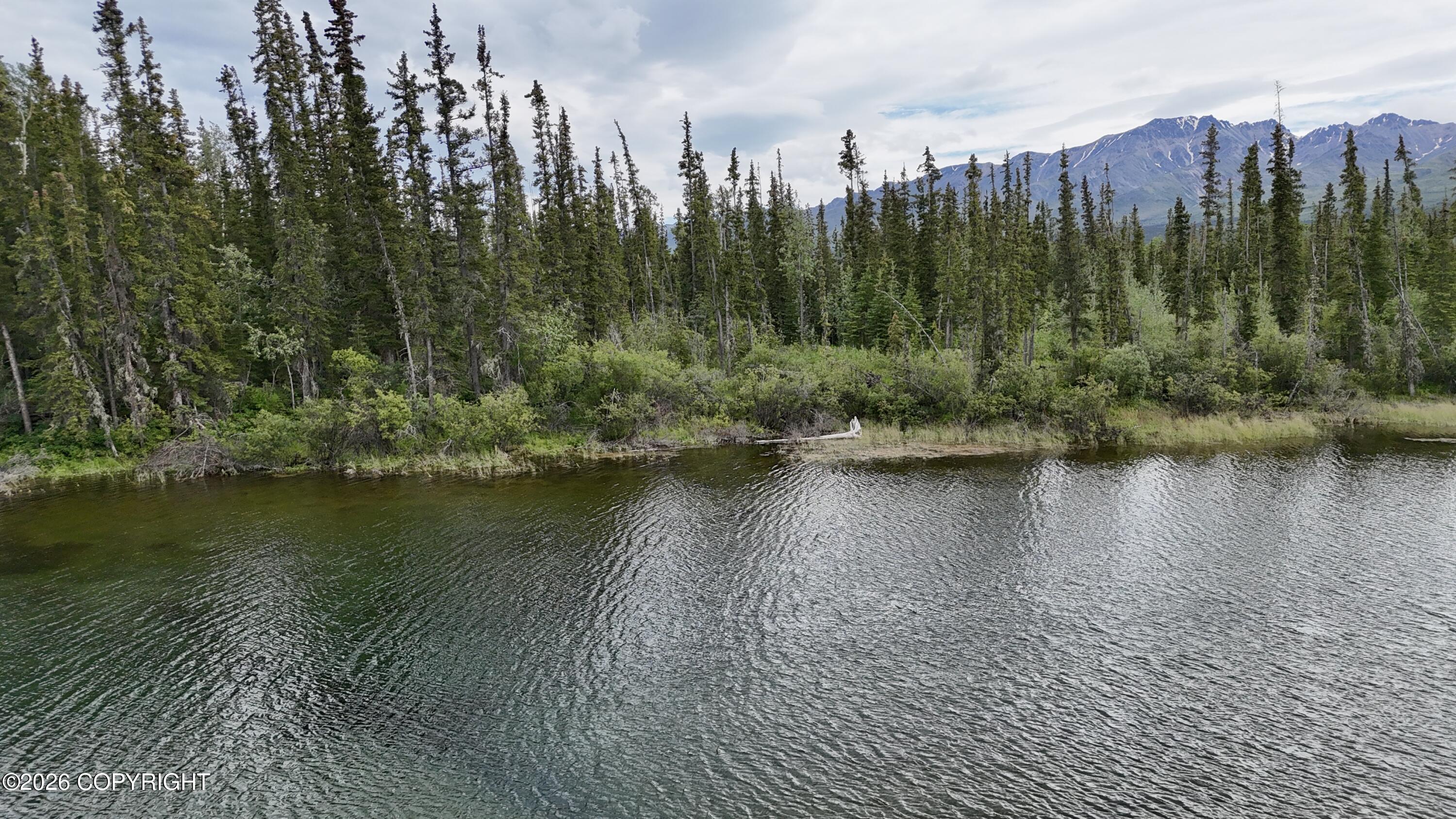 1327.6a Alaska Highway Property Photo 56