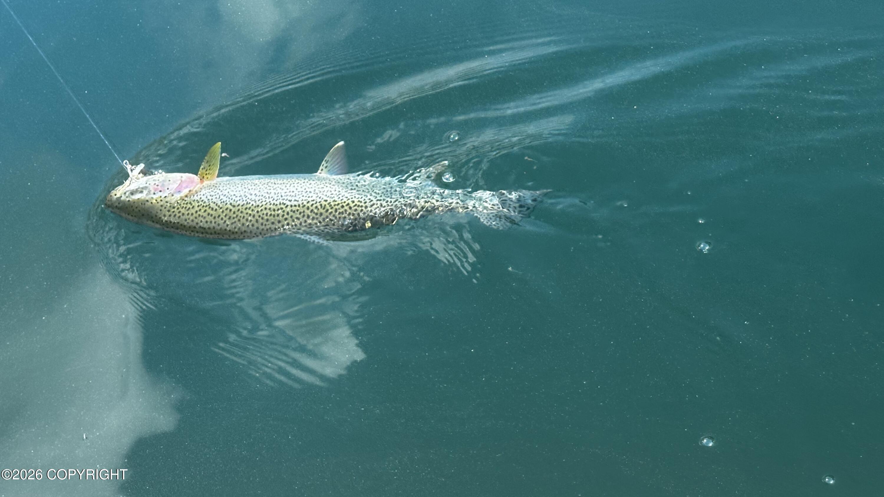 L1 B9 Chilkat Lake Property Photo 4