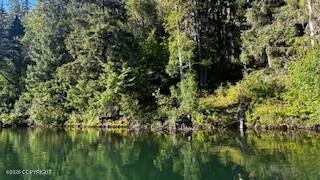 L1 B9 Chilkat Lake Property Photo 5