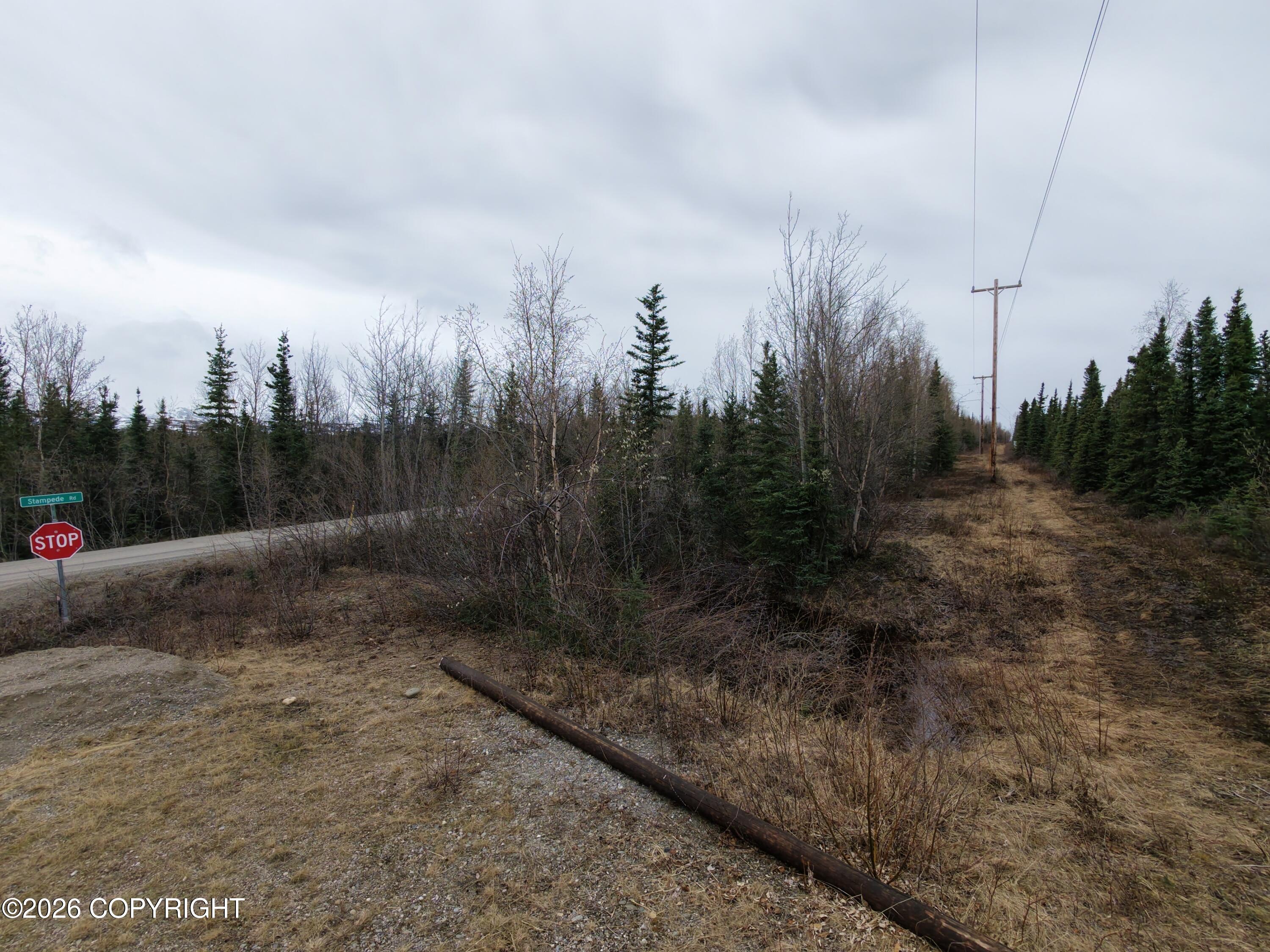 0000 Stampede Road Property Photo 10