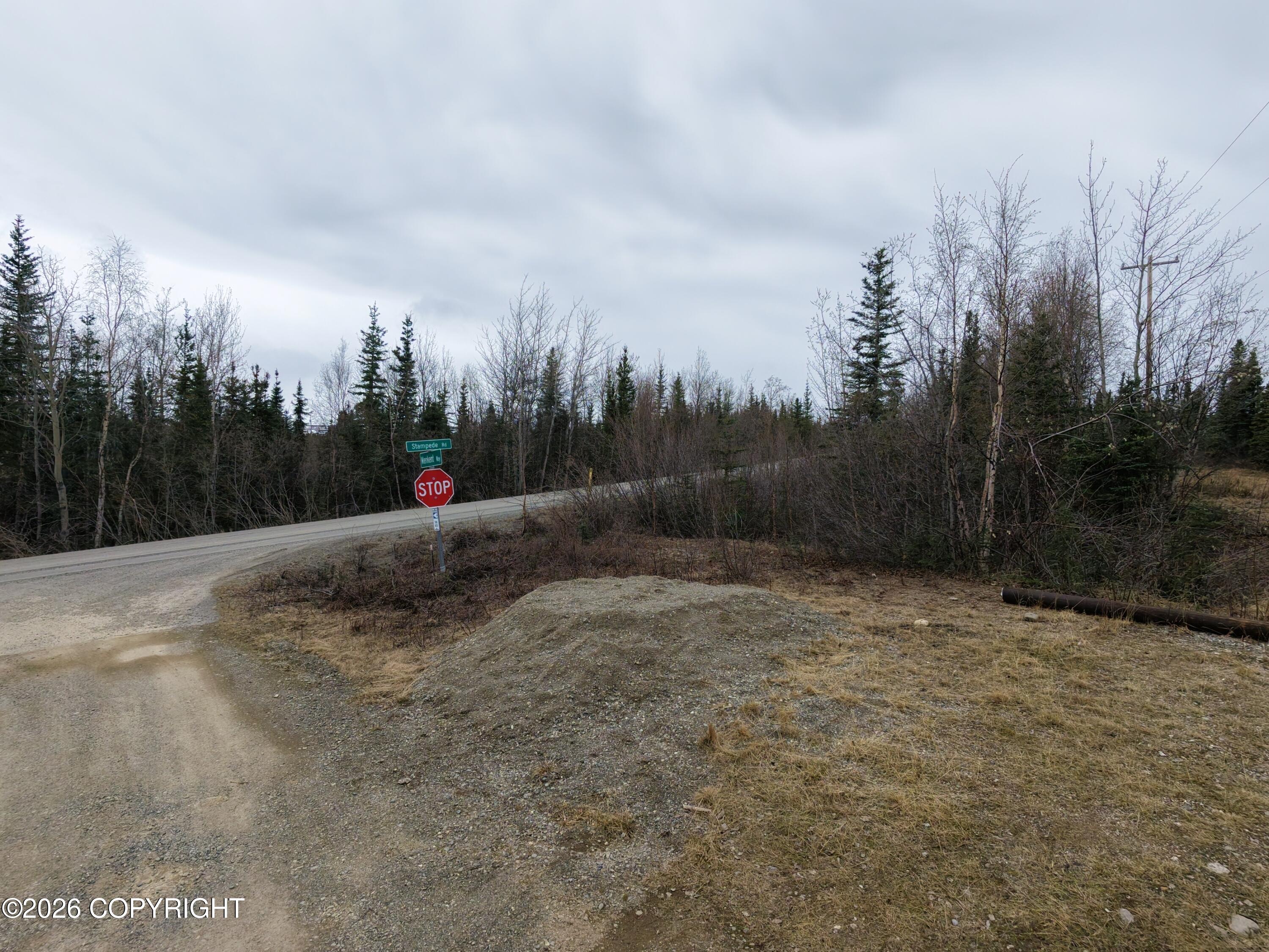 0000 Stampede Road Property Photo 14