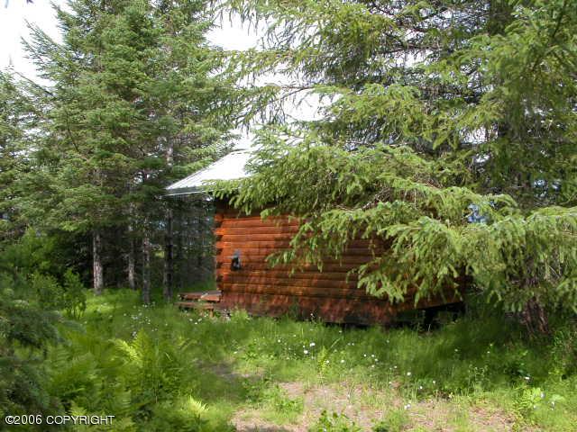 000 Horn Mountain Property Photo 15