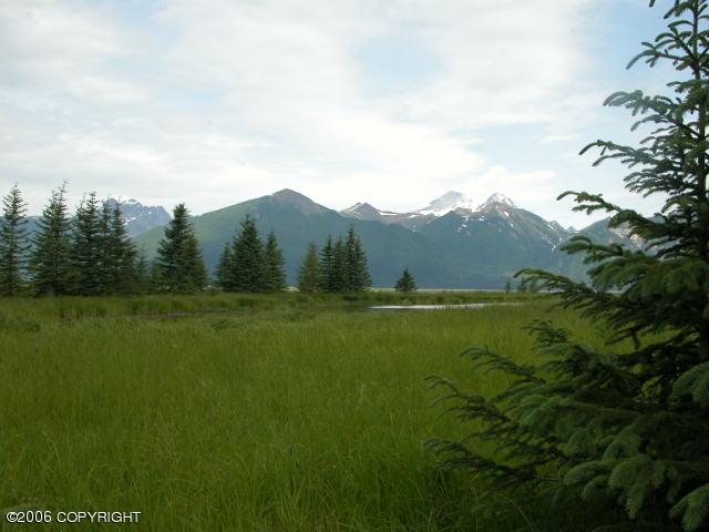 000 Horn Mountain Property Photo 18