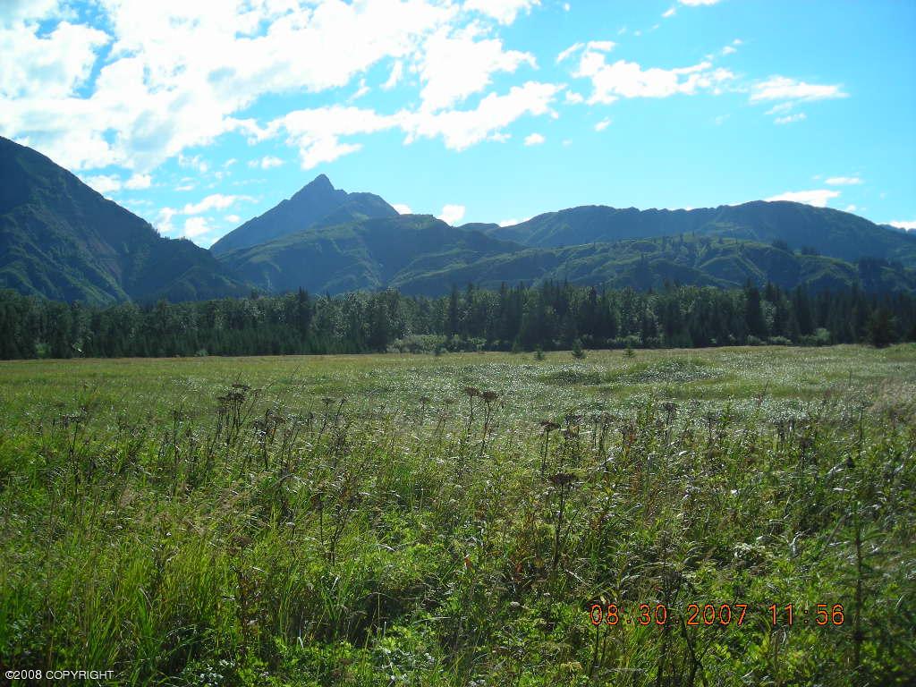 000 Horn Mountain Property Photo 39