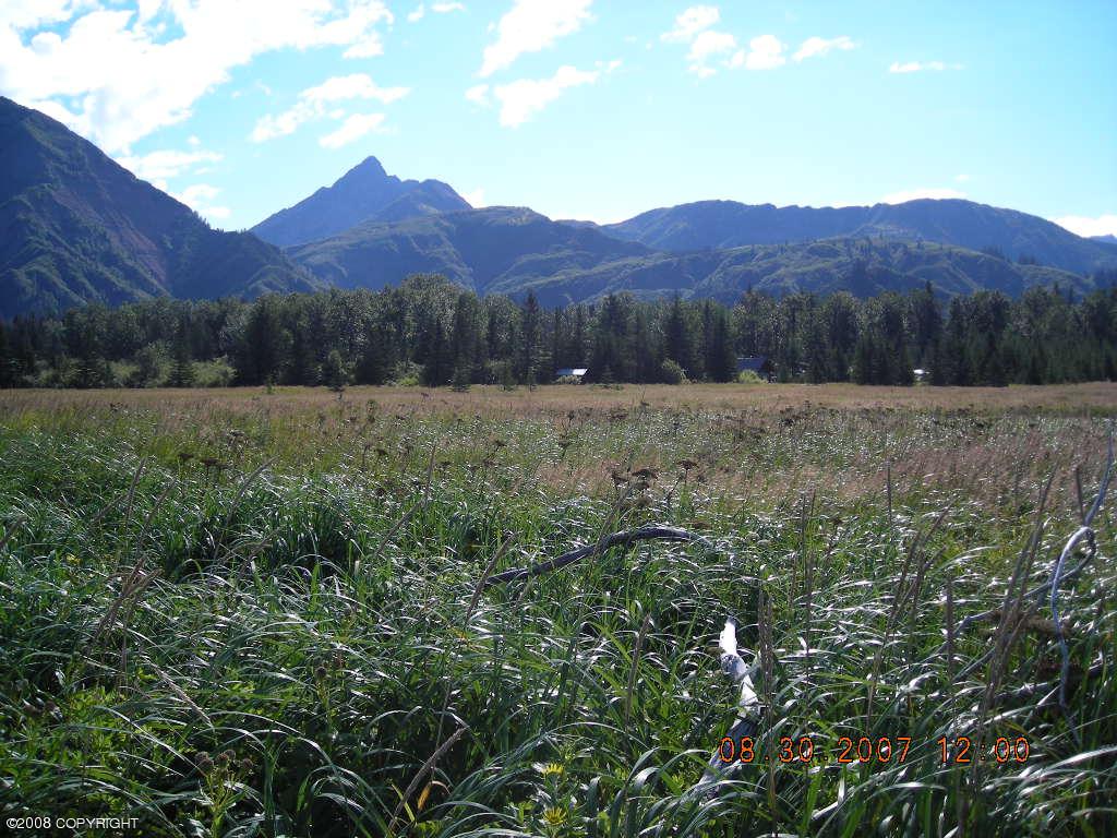 000 Horn Mountain Property Photo 42