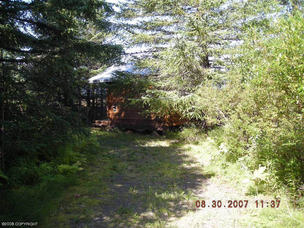000 Horn Mountain Property Photo 44