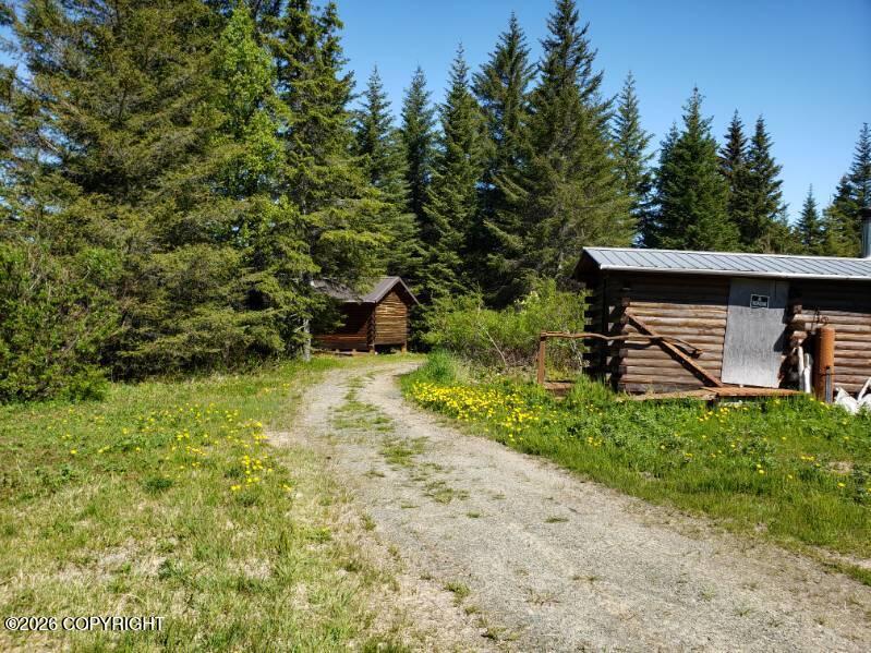 000 Horn Mountain Property Photo 55