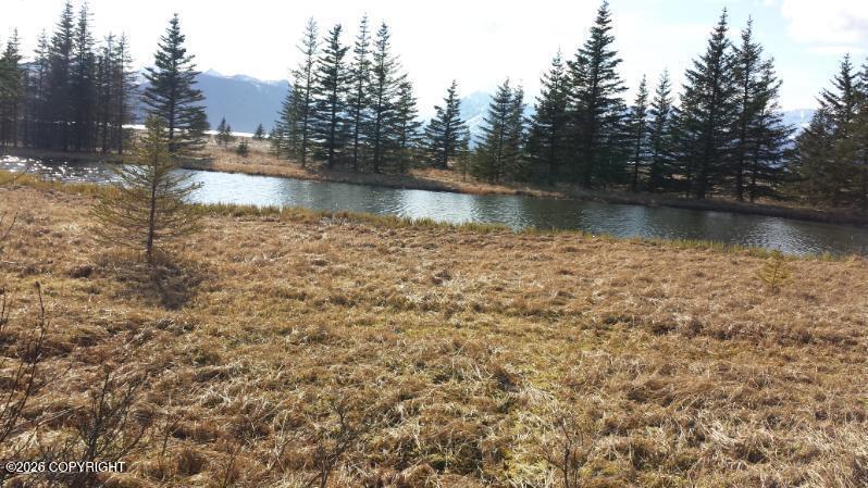 000 Horn Mountain Property Photo 67