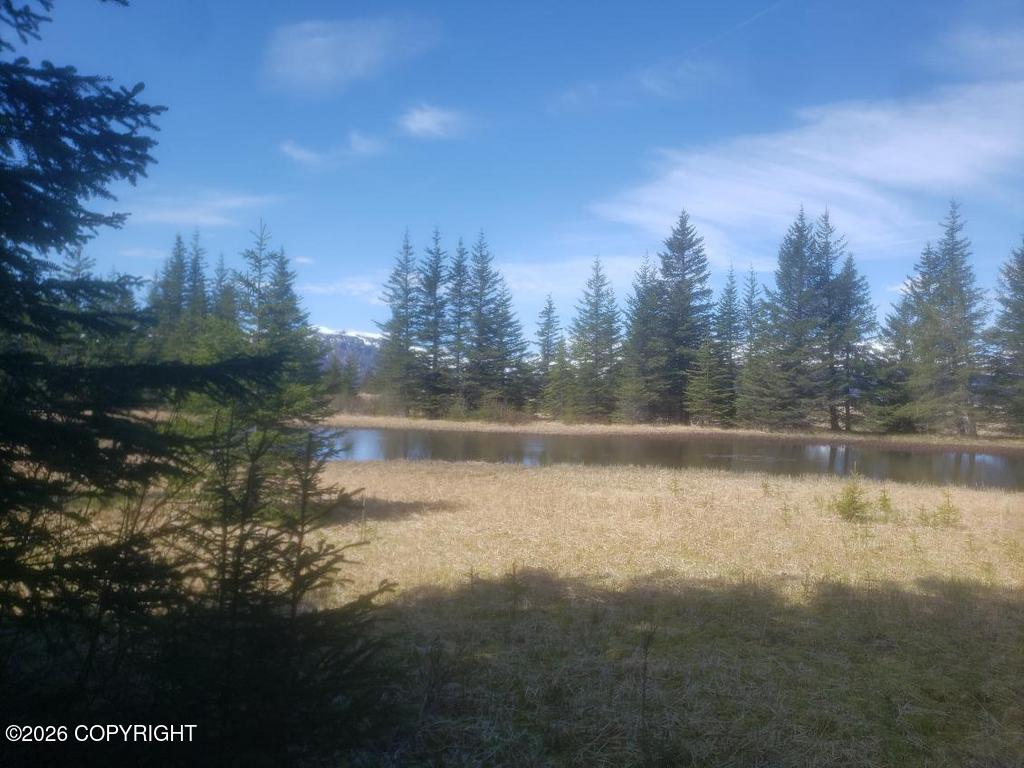 000 Horn Mountain Property Photo 93