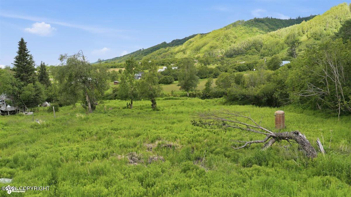 Lot 20 Shelby Kay Property Photo 5