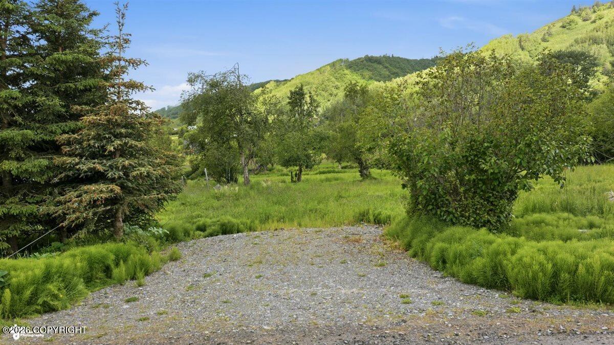 Lot 20 Shelby Kay Property Photo 6