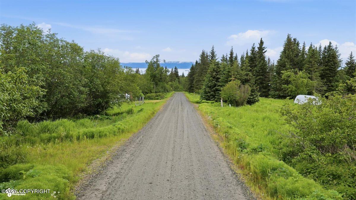 Lot 20 Shelby Kay Property Photo 7