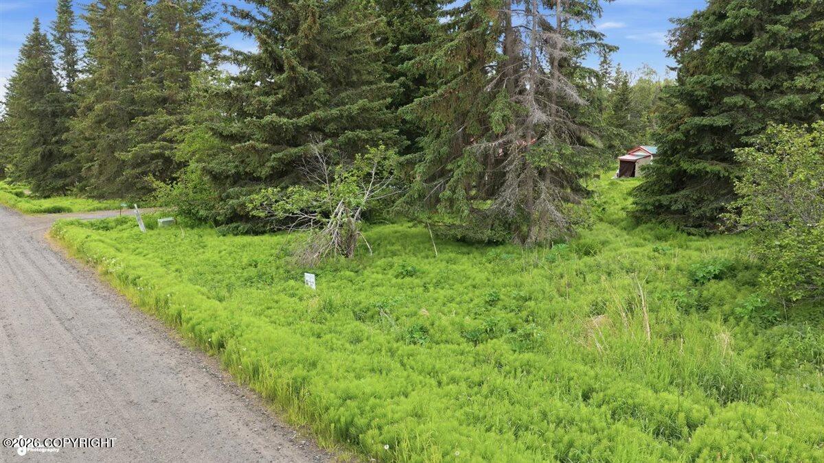Lot 21 Shelby Kay Property Photo 4
