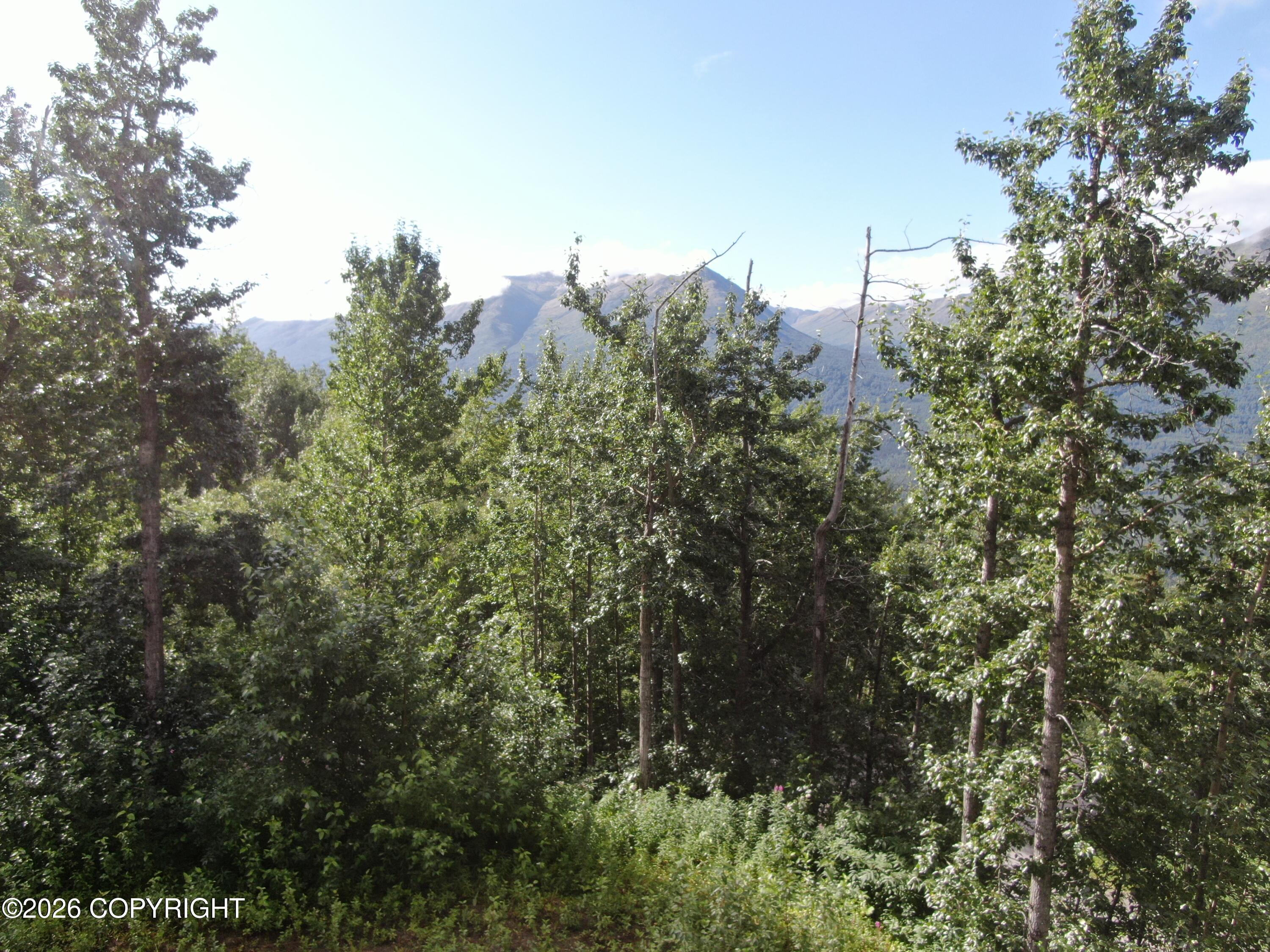 #1 Mile Hi Way Property Photo 3