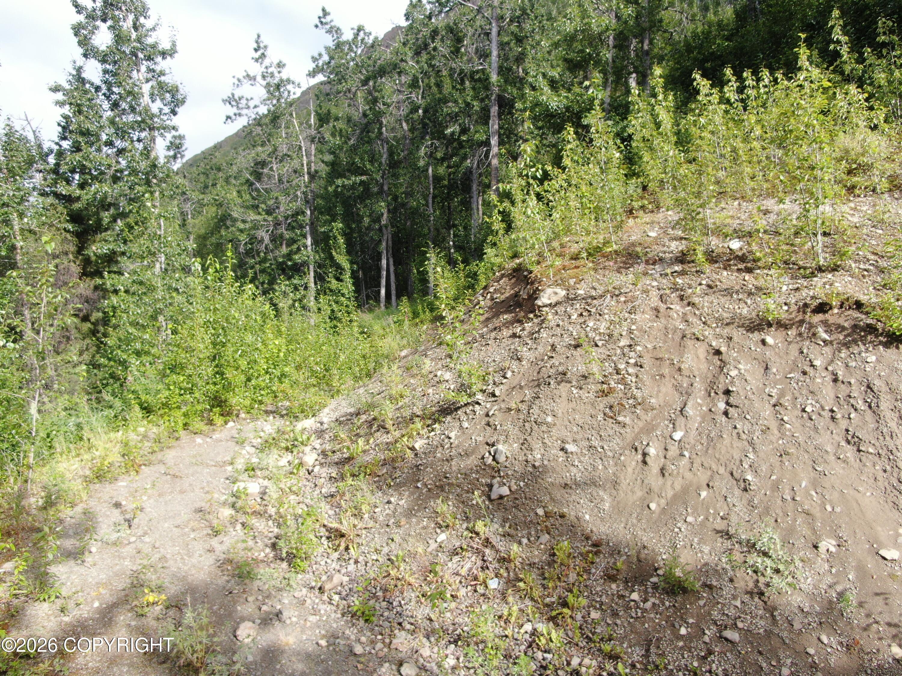#1 Mile Hi Way Property Photo 6