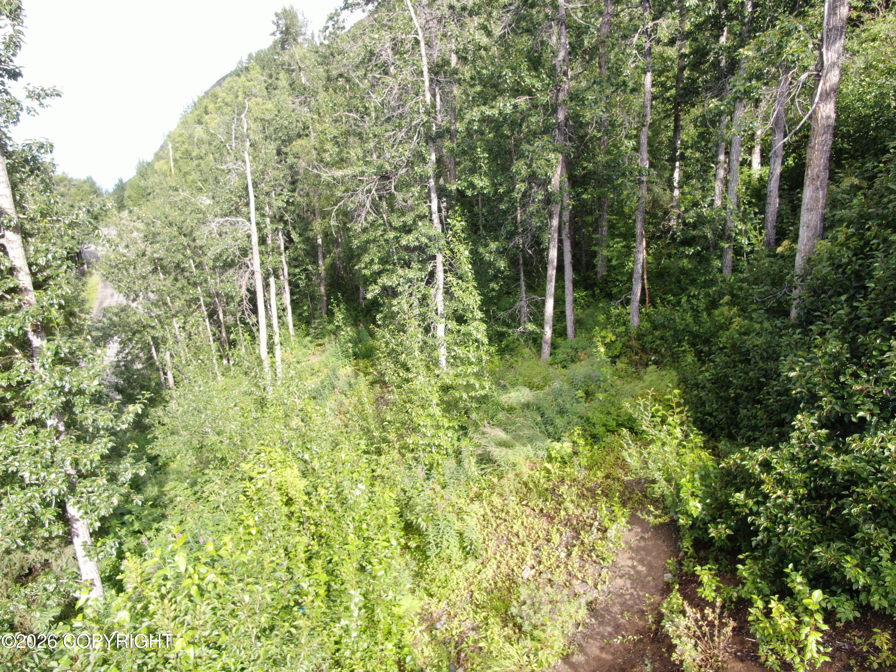 #1 Mile Hi Way Property Photo 7