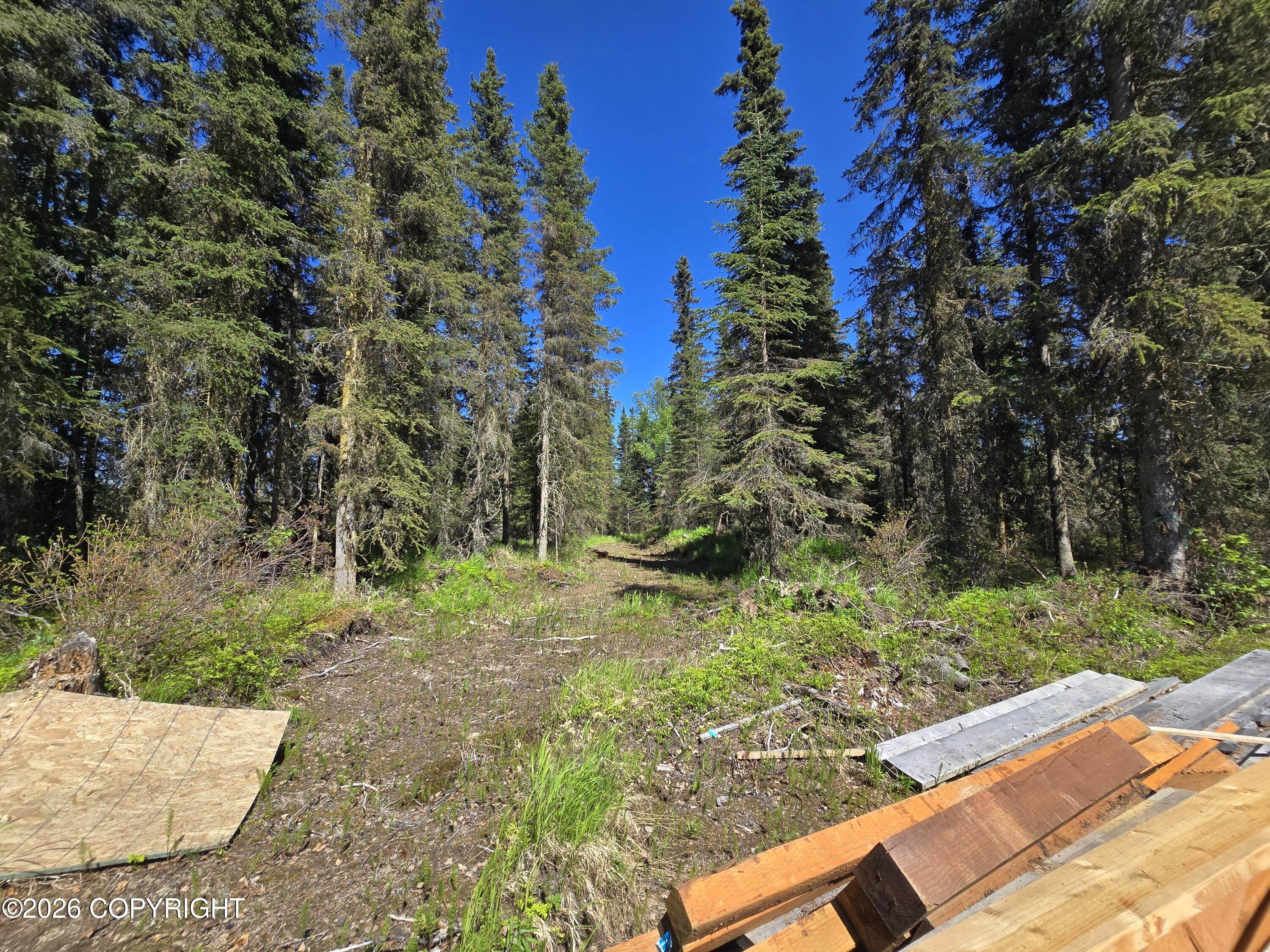 56325 Sterling Highway Property Photo 5