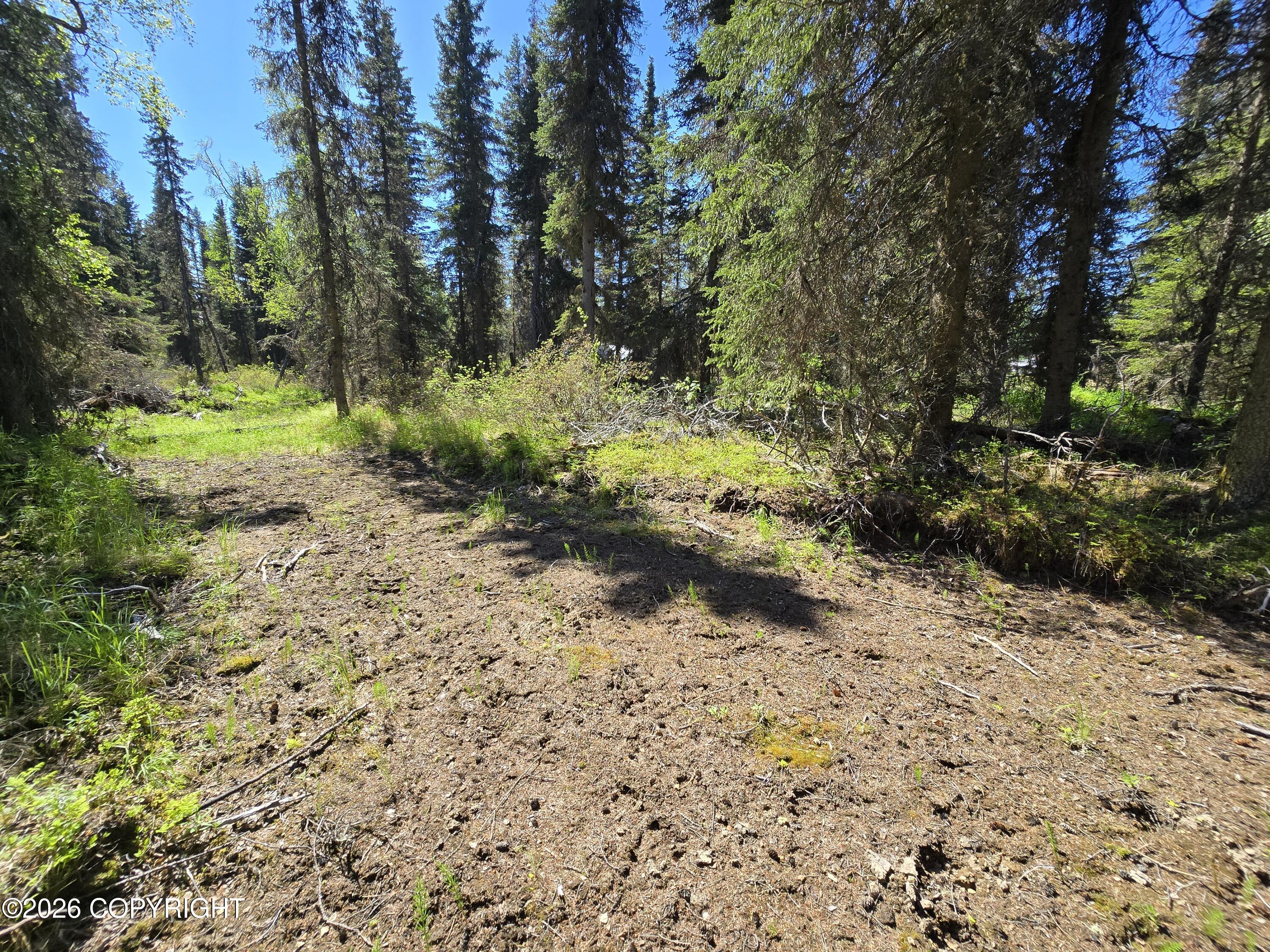 56325 Sterling Highway Property Photo 8