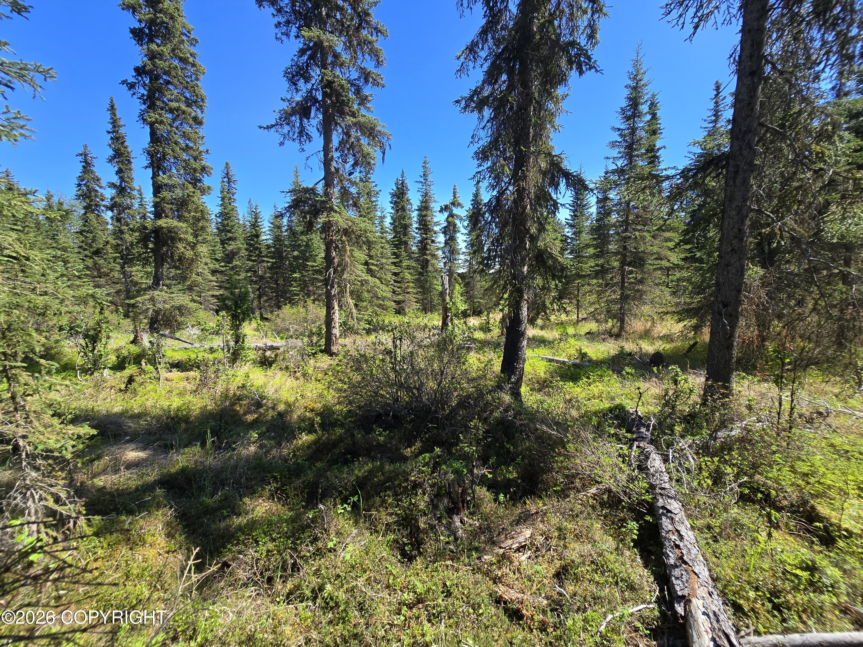 56325 Sterling Highway Property Photo 9
