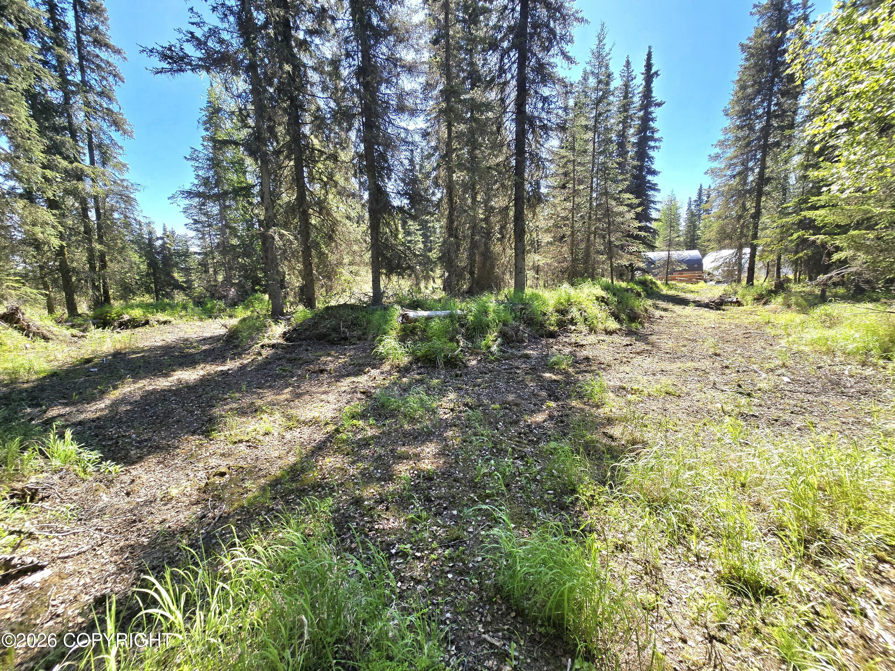 56325 Sterling Highway Property Photo 23