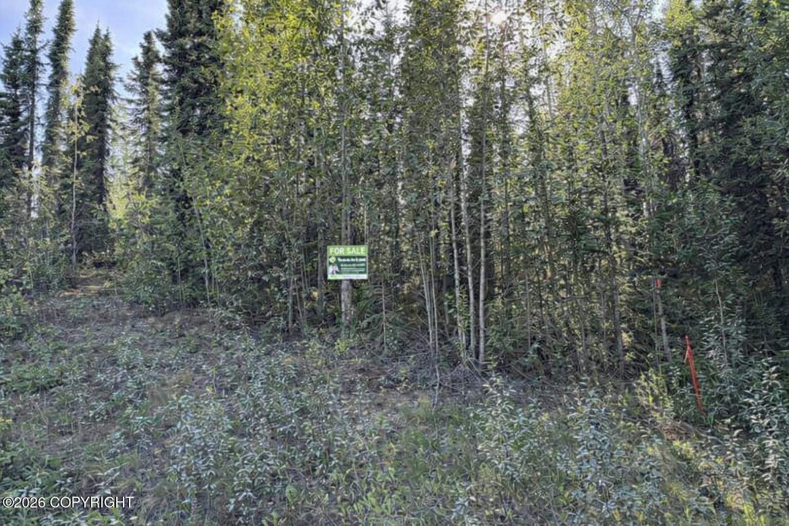 36903 Lake Road Property Photo 1