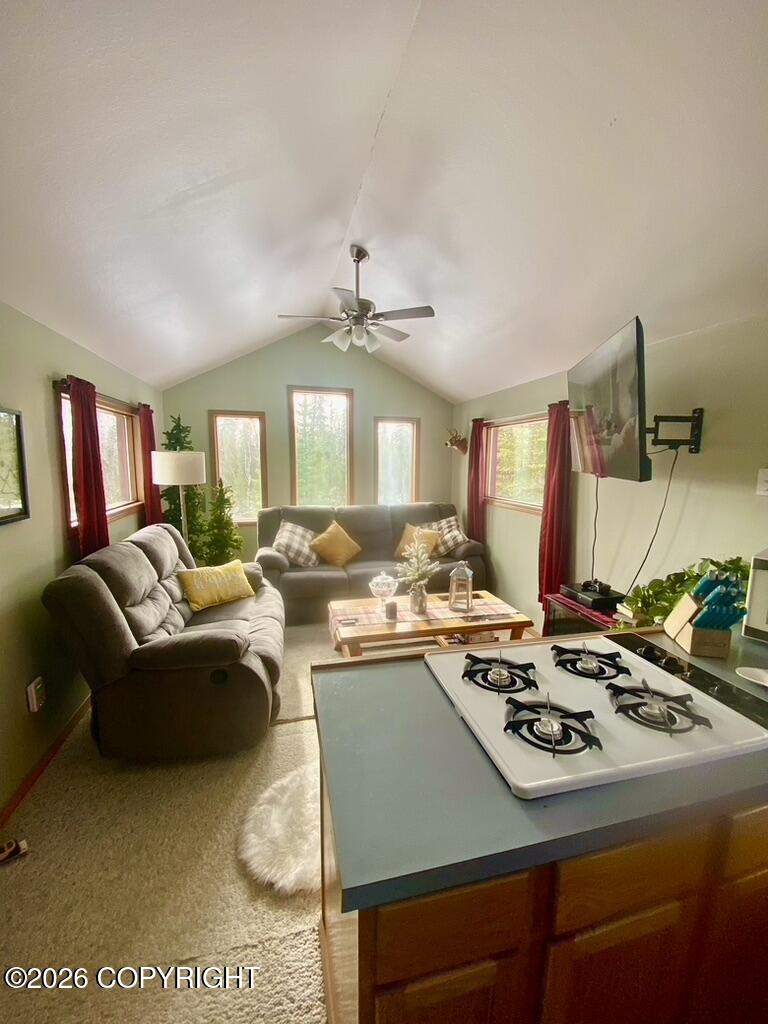 35385 Reger Road Property Photo 46