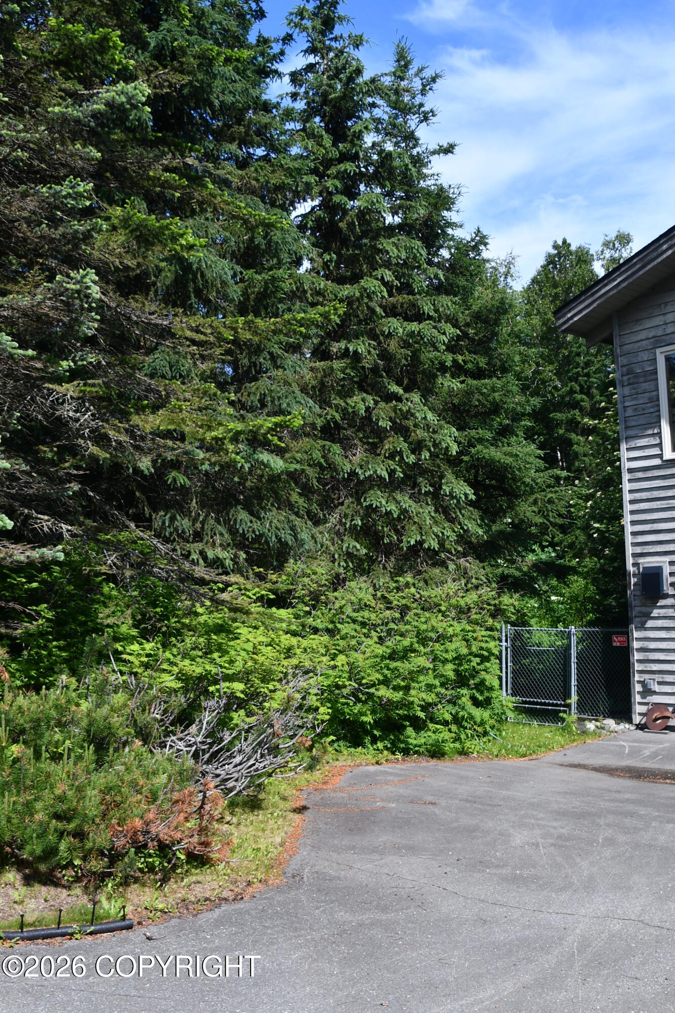 1319 Matterhorn Way Property Photo 60
