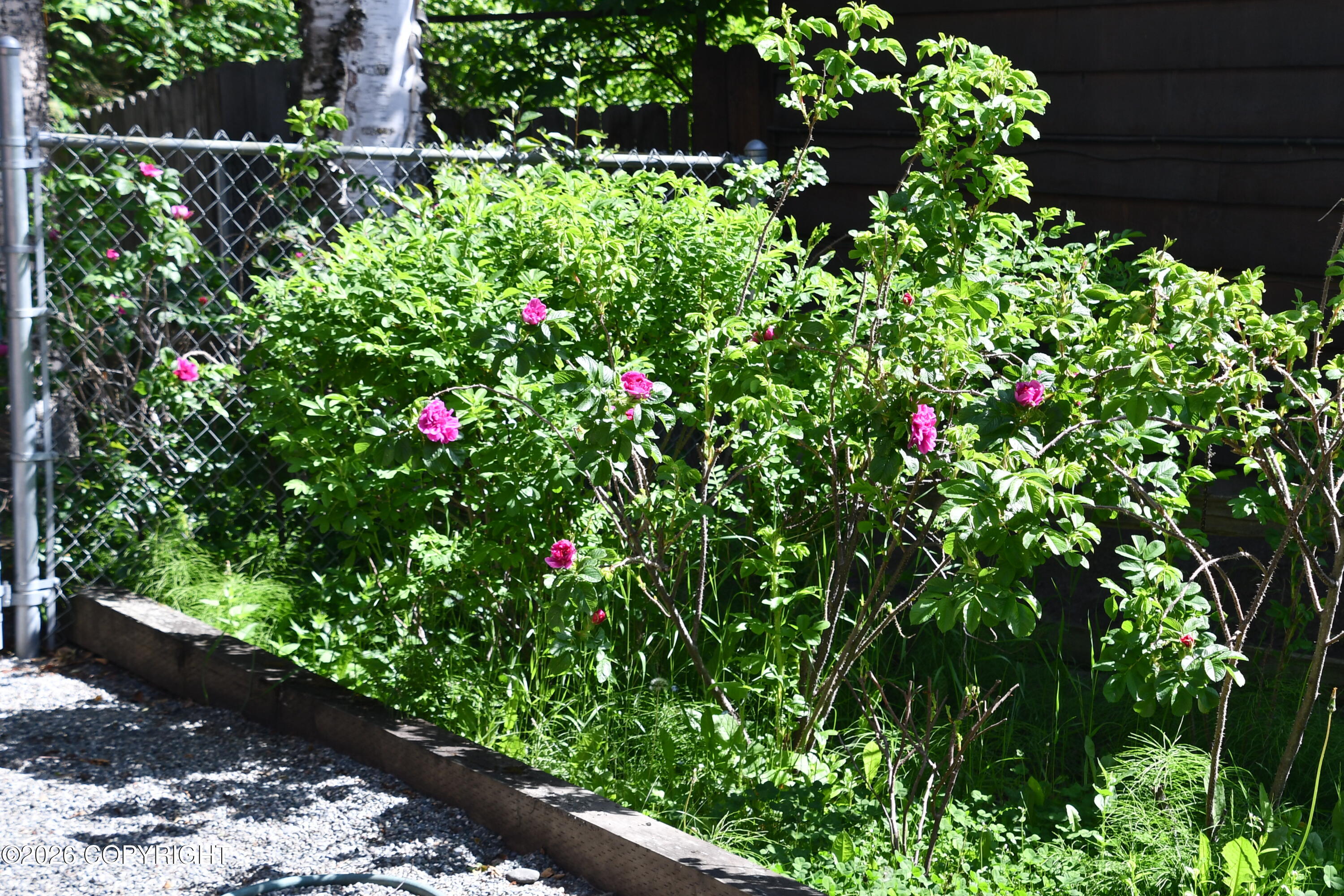 1319 Matterhorn Way Property Photo 61