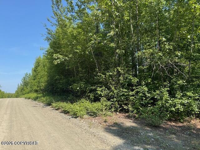 39578 S Malaspina Loop Property Photo 1