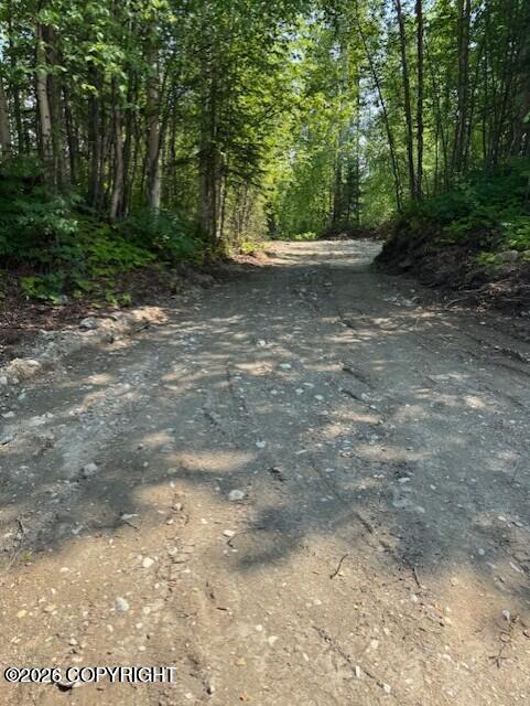 39578 S Malaspina Loop Property Photo 2