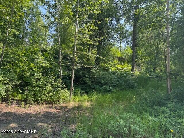 39578 S Malaspina Loop Property Photo 3