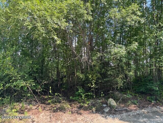 39578 S Malaspina Loop Property Photo 4
