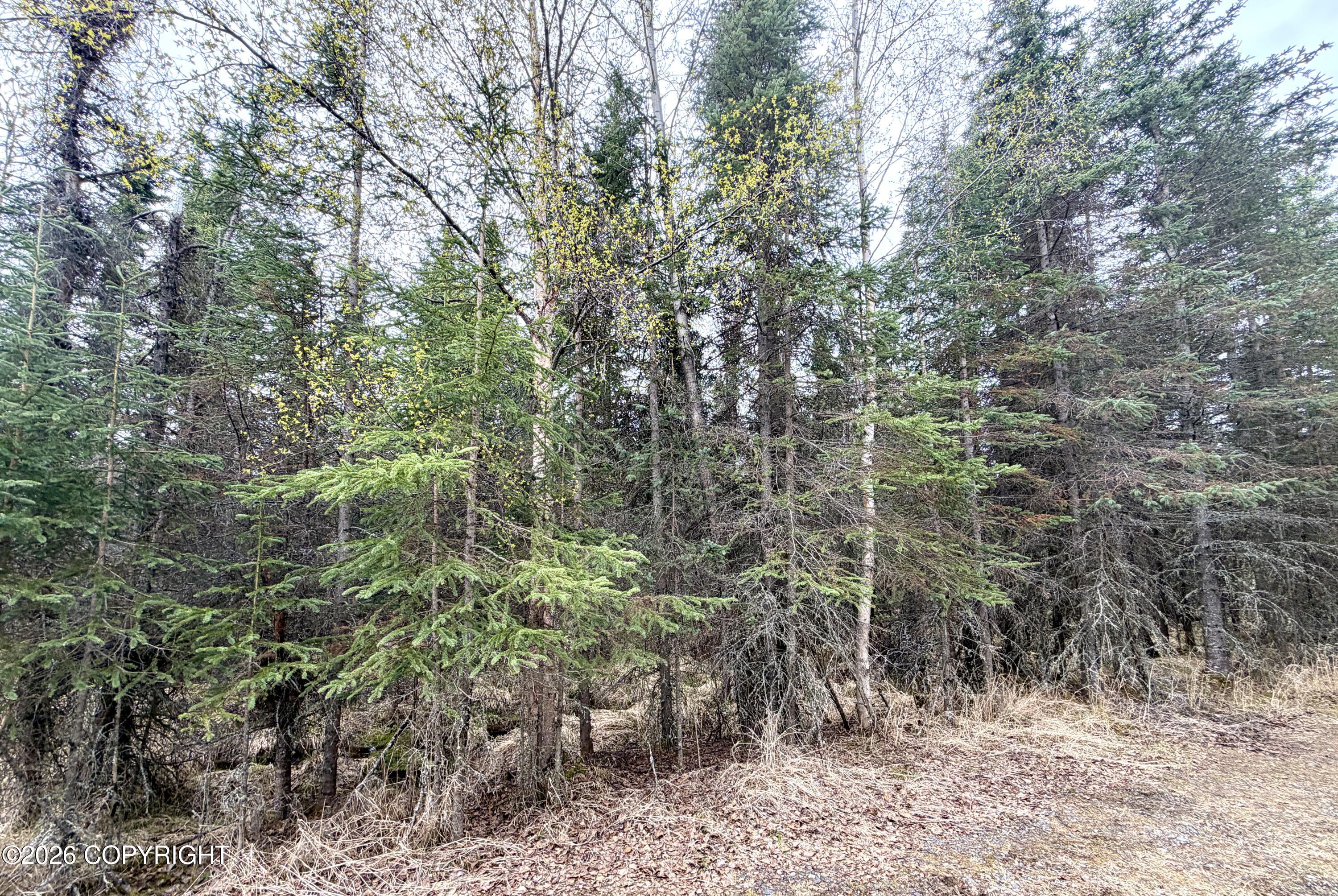41403 Ray Lee Drive Property Photo 10