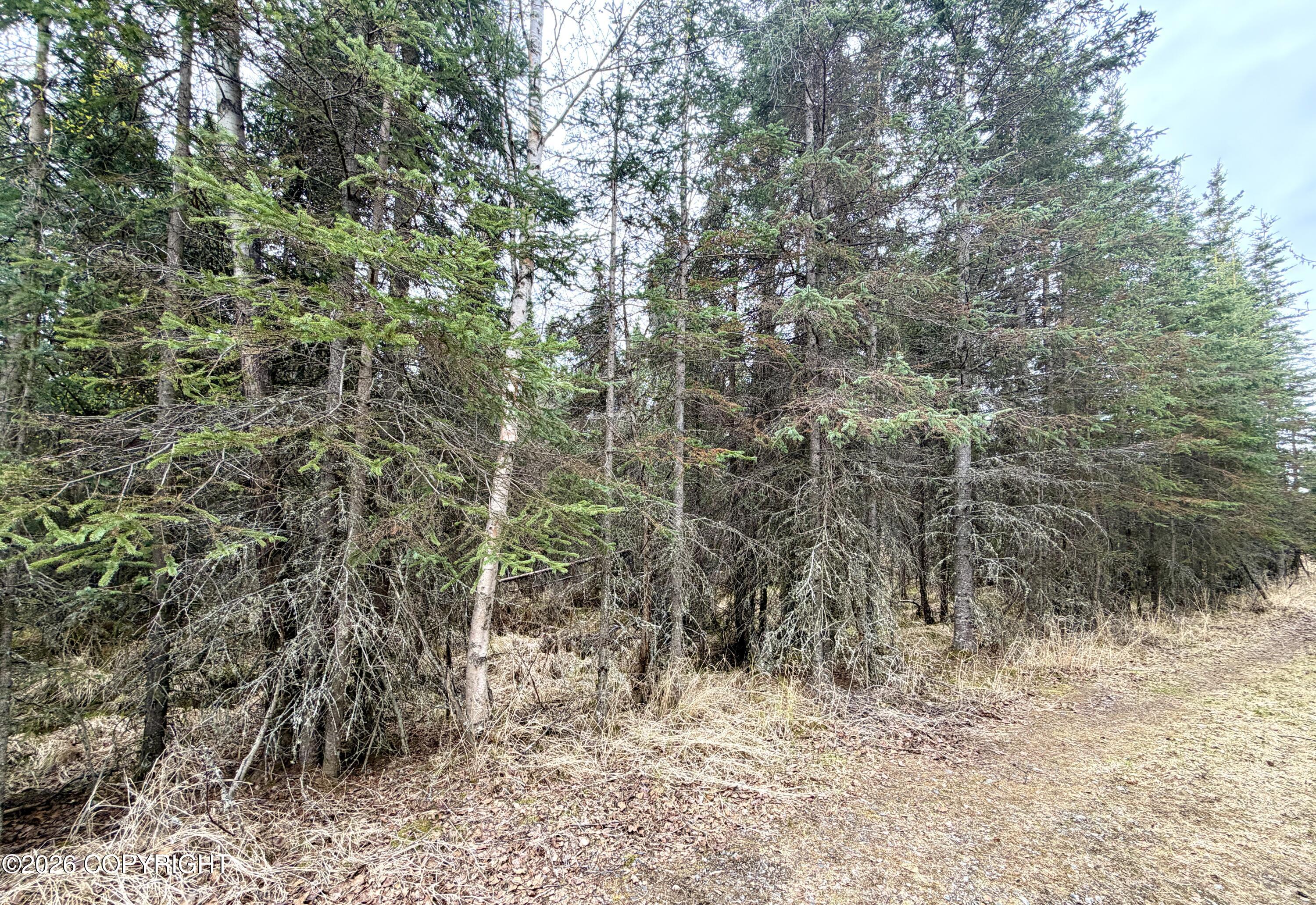 41403 Ray Lee Drive Property Photo 11