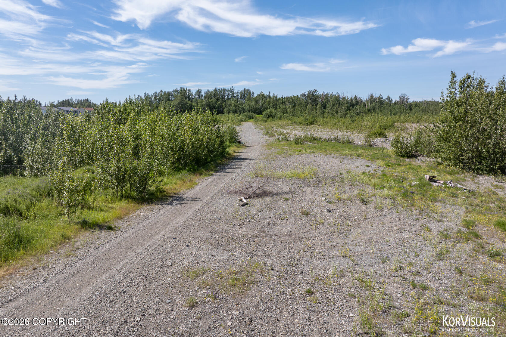 1100 E Palmer-wasilla Highway Property Photo 6