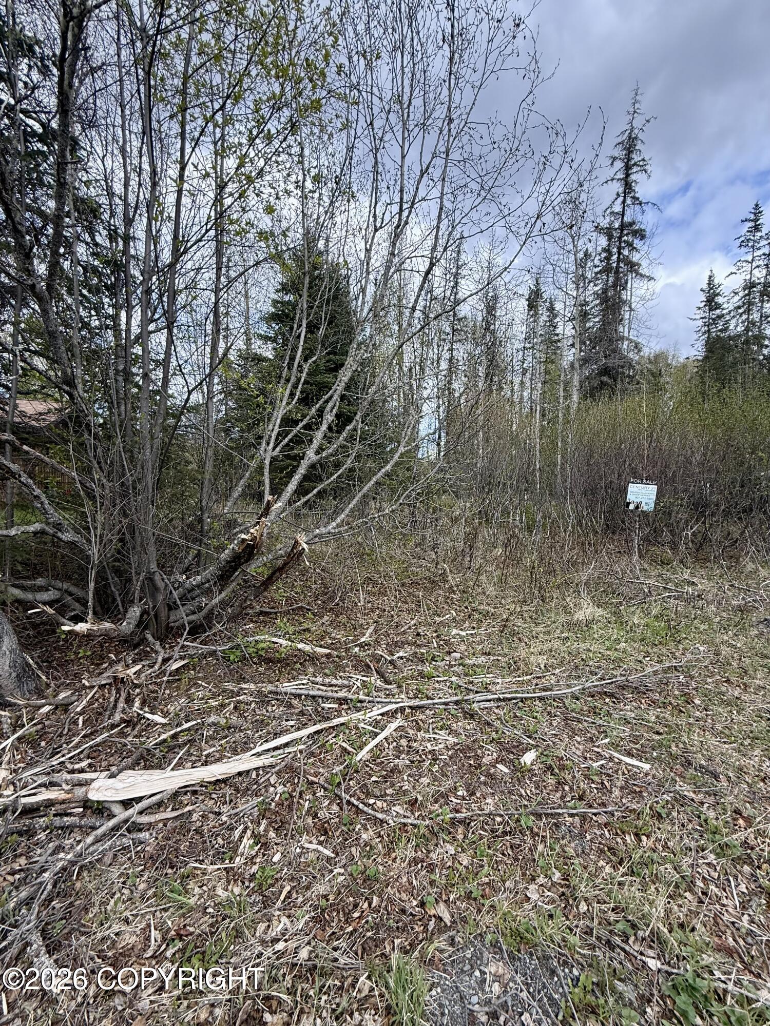 000 Ptarmigan Place Property Photo 7