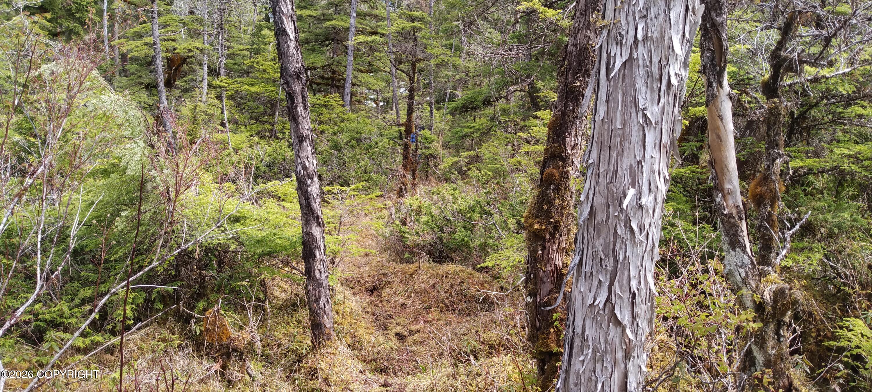Nhn Eastern Passage Property Photo 19