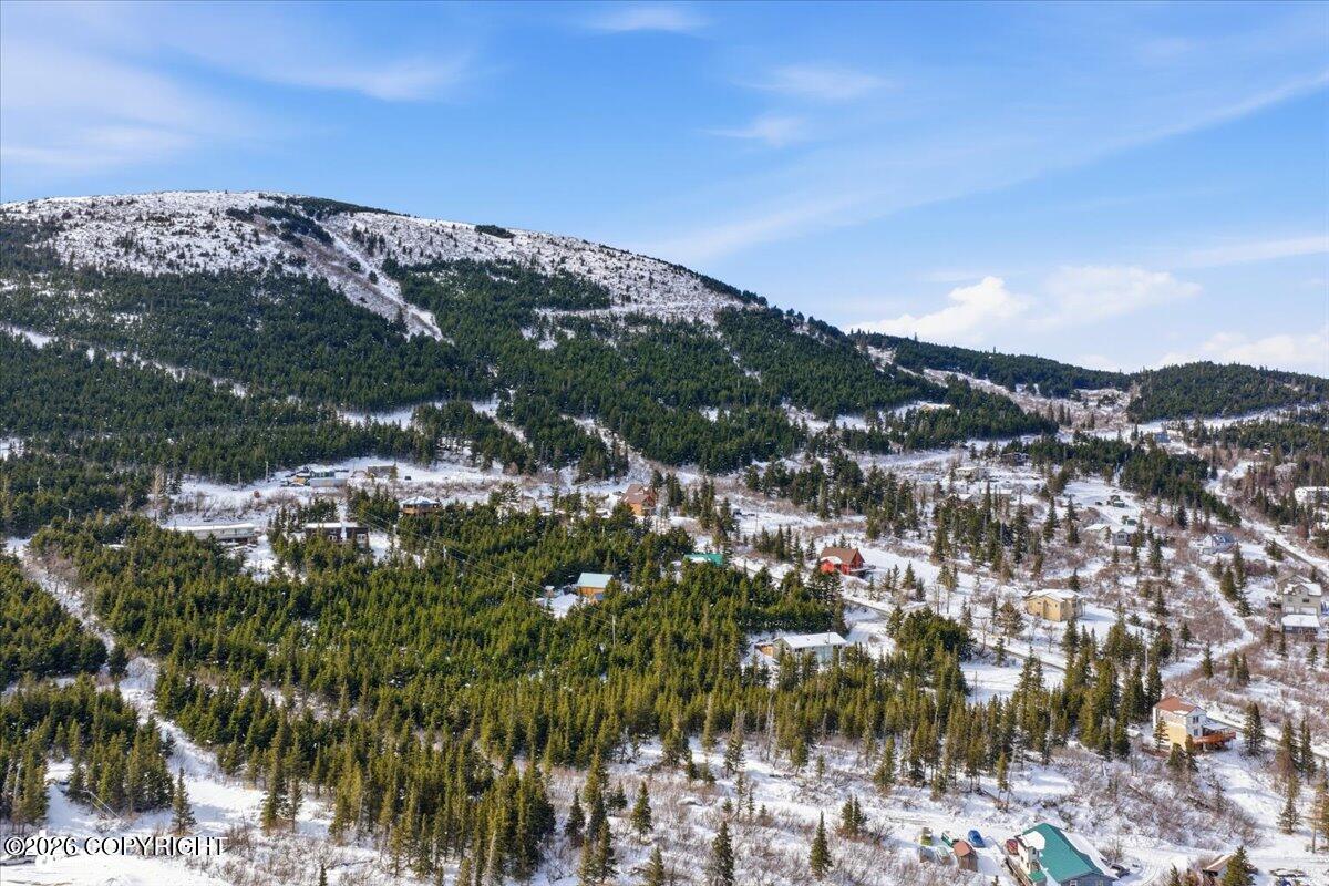 L3a B11h Rabbit Creek View Drive Property Photo 6