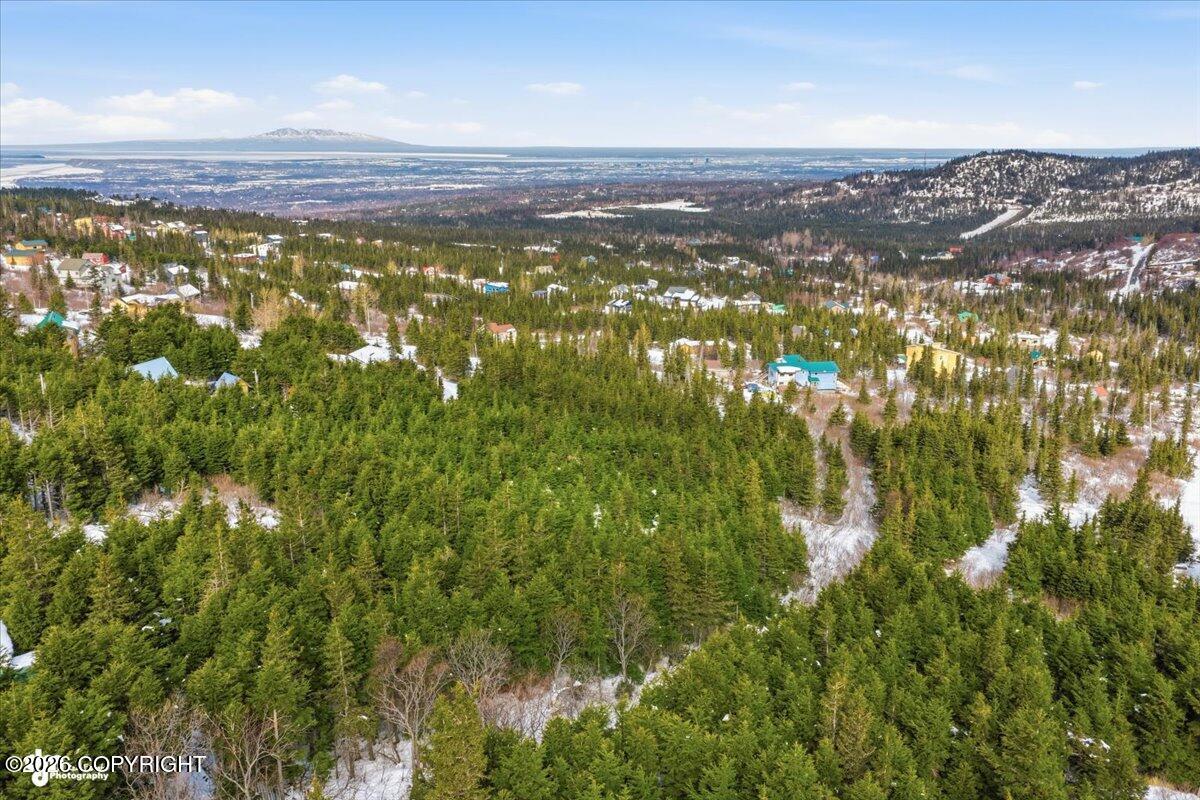 L3a B11h Rabbit Creek View Drive Property Photo 10