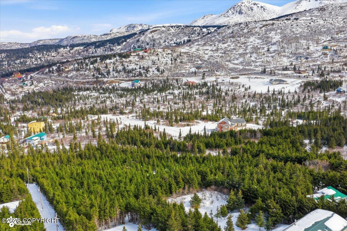 L3a B11h Rabbit Creek View Drive Property Photo 11