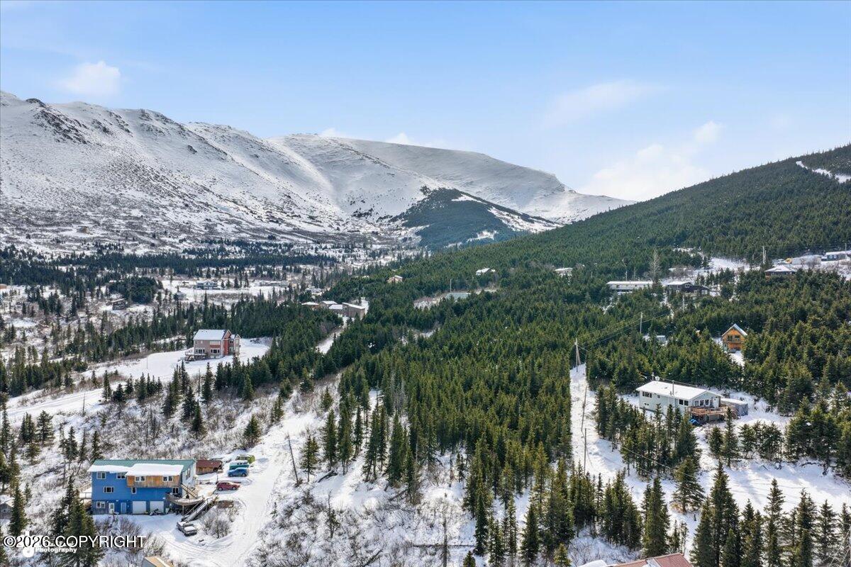 L2A B11H Rabbit Creek View Drive Property Photo 1