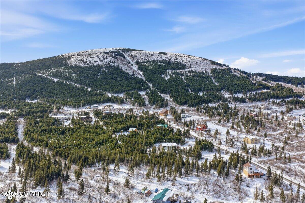 L2a B11h Rabbit Creek View Drive Property Photo 10