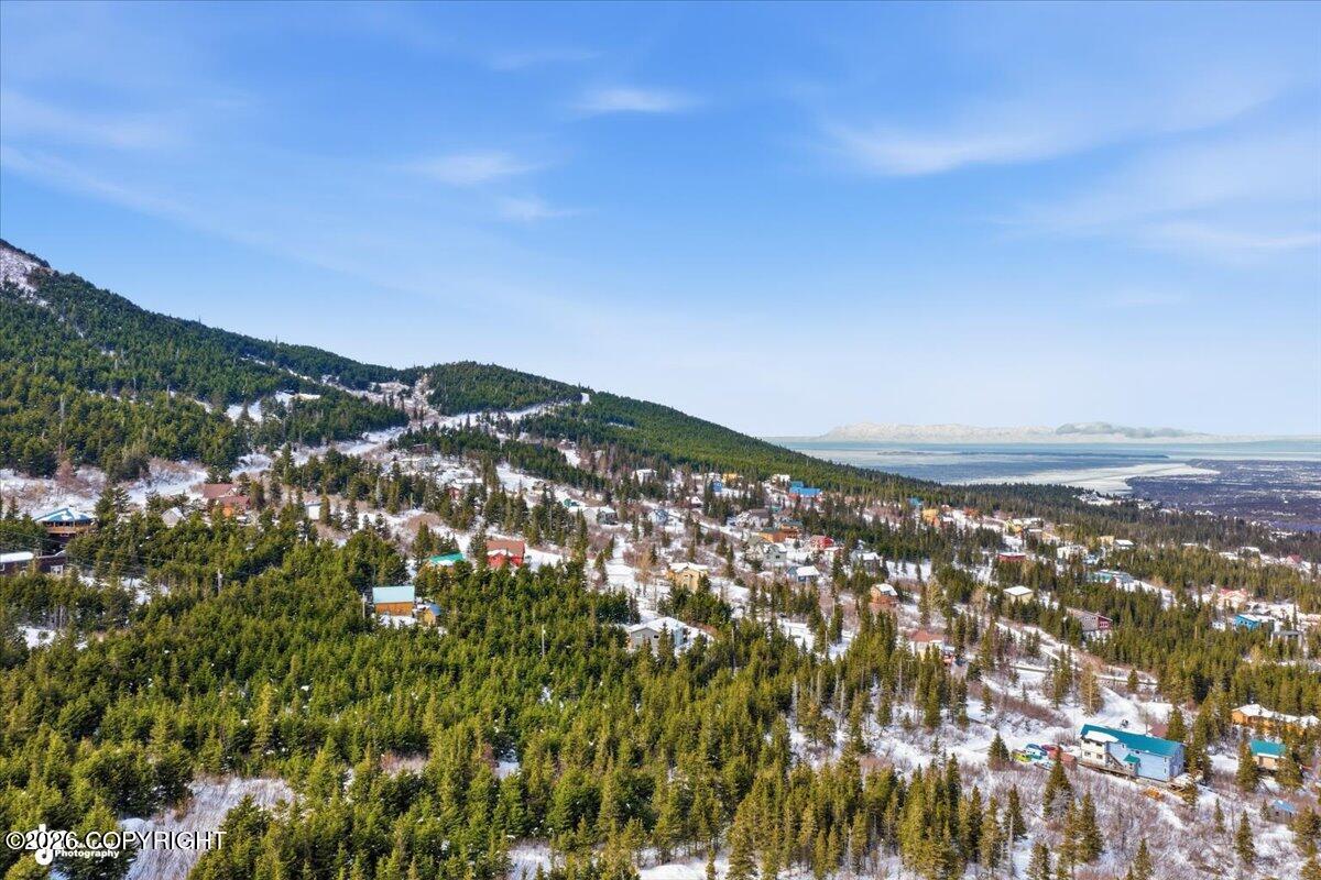 L2a B11h Rabbit Creek View Drive Property Photo 15