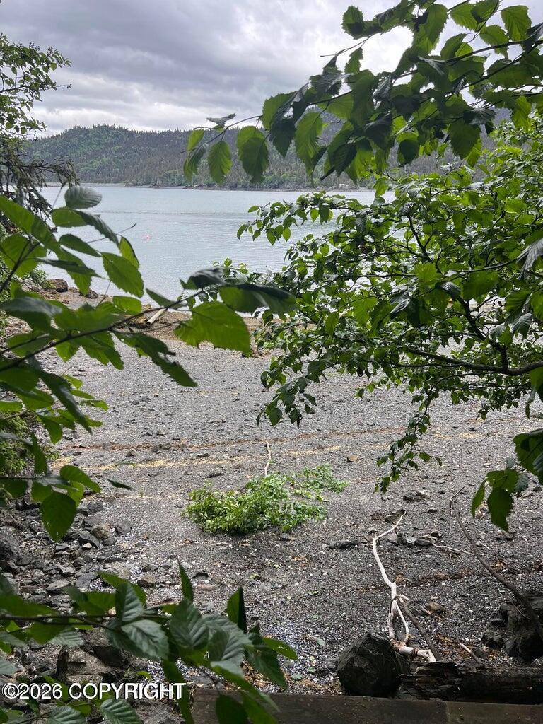 Tract 3 Peterson Bay Property Photo 4